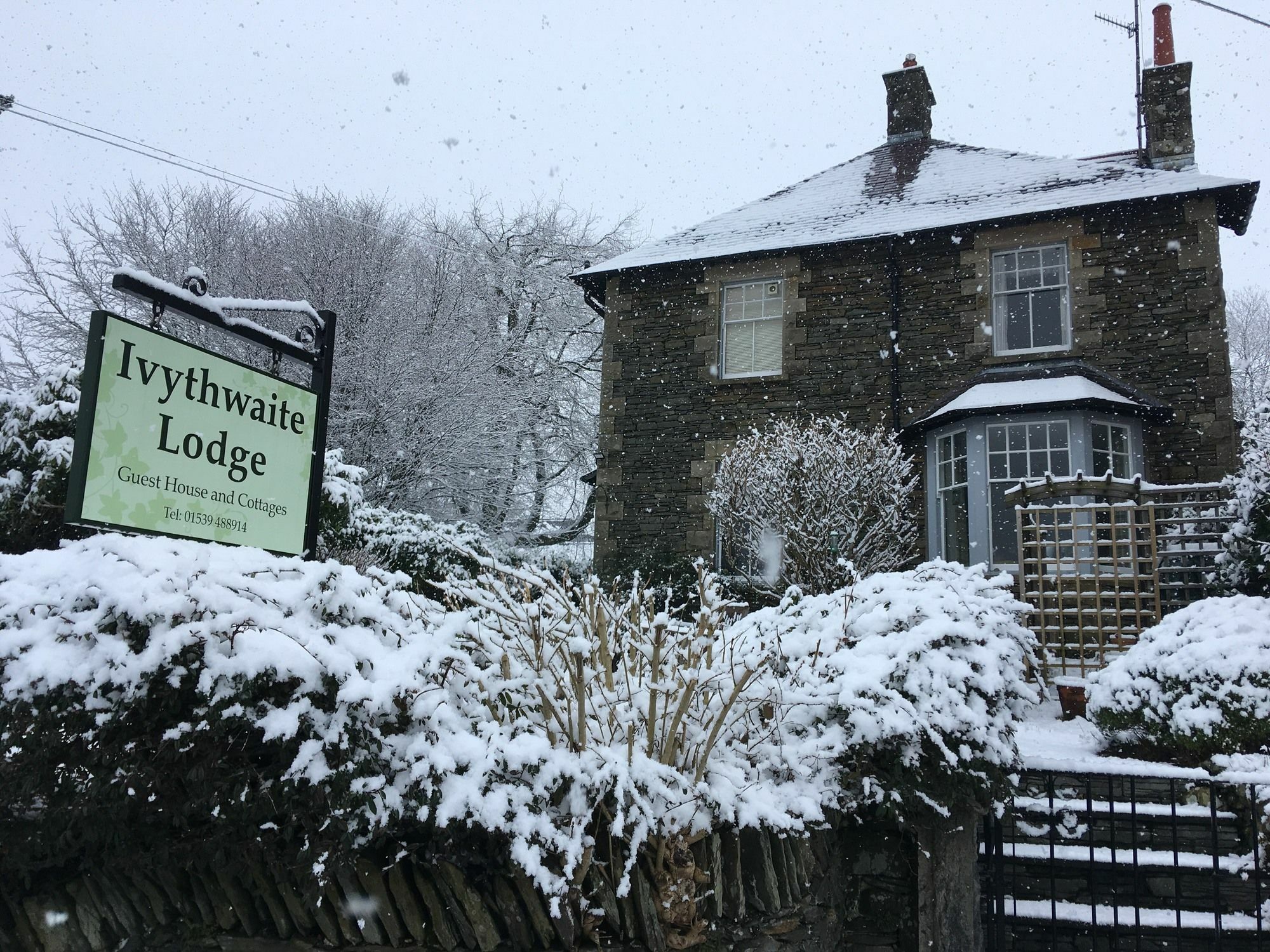 Ivythwaite Lodge Guest House Windermere Exterior foto